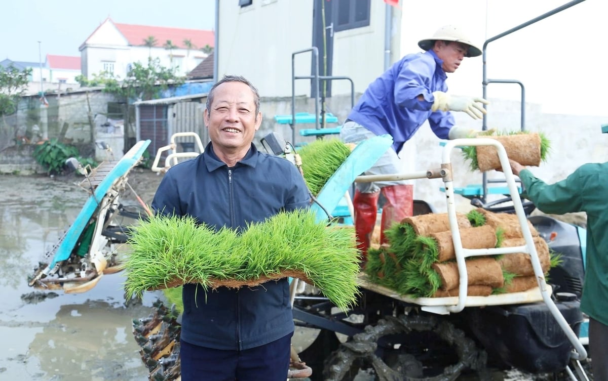Ông Nguyễn Đức Viết phấn khởi đưa mạ khay, máy cấy vào sản xuất. Ảnh: Thanh Nga. Ông Nguyễn Đức Viết phấn khởi đưa mạ khay, máy cấy vào sản xuất. Ảnh: Thanh Nga.