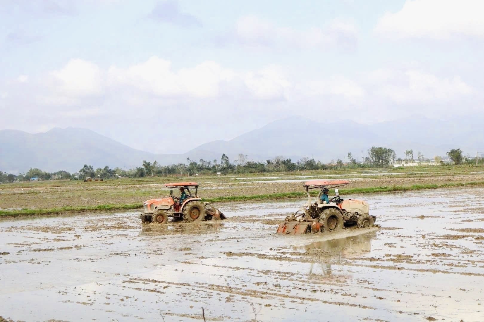 Các địa phương chủ động làm đất, xuống giống kịp thời vụ. Ảnh: Ánh Nguyệt.