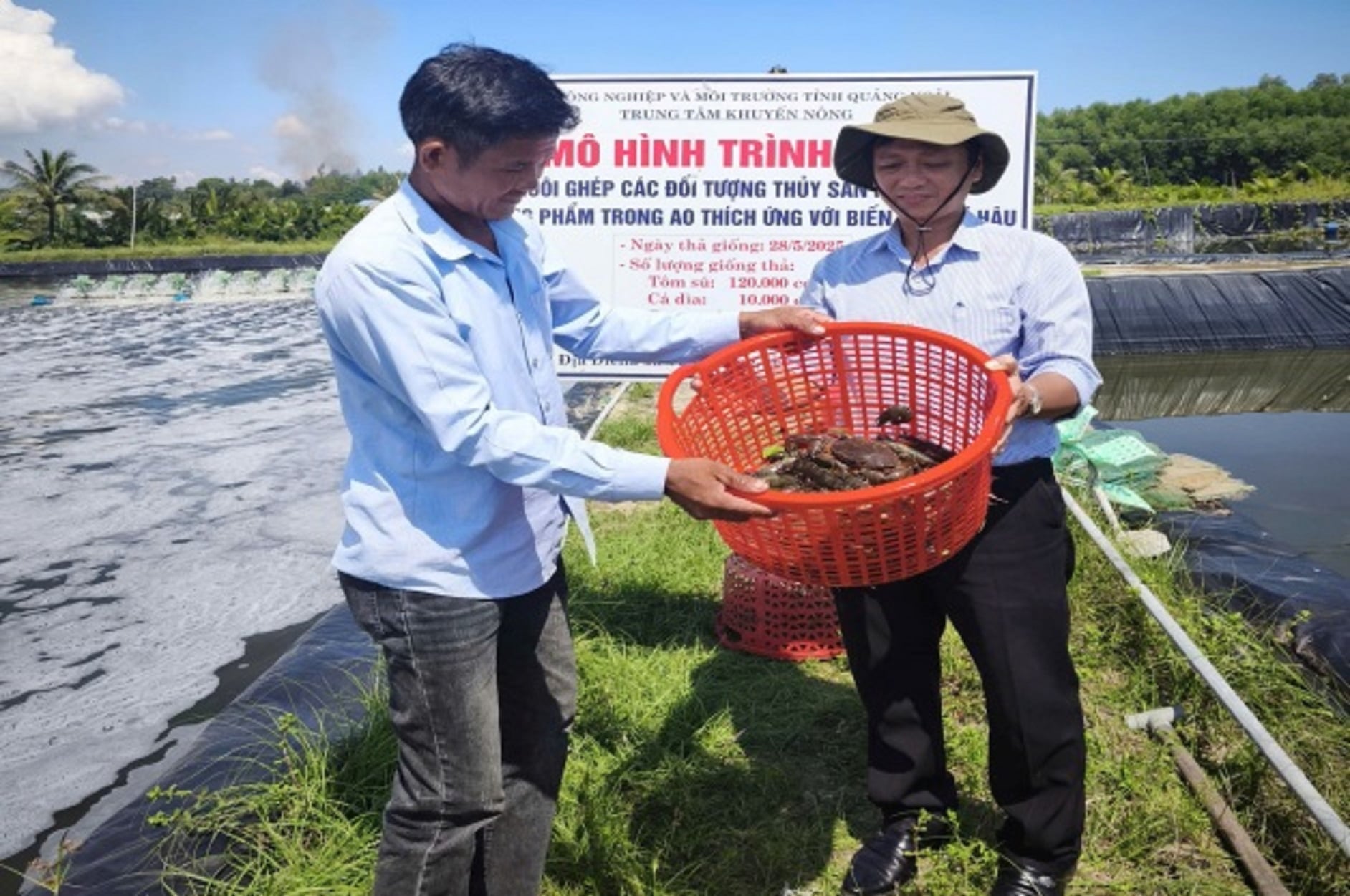 Mô hình nuôi ghép tôm - cua - cá tại xã Vạn Tường được Trung tâm Khuyến nông tỉnh Quảng Ngãi thực hiện cho thu nhập gần 120 triệu đồng/ha/vụ. Ảnh: H.V.
