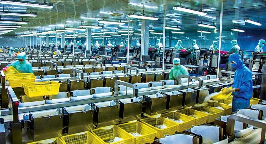 Chuyển đổi sang môi chất làm lạnh thân thiện giúp các nhà máy chế biến giảm tới 20% chi phí điện năng vận hành. Ảnh: Huỳnh Lâm.