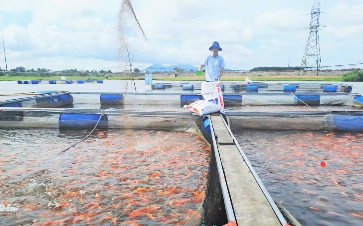 Việc mạnh dạn khai thác tiềm năng, lợi thế NTTS nước ngọt hồ thủy lợi, thủy điện chắc chắn sẽ giải quyết vấn đề việc làm và tăng thu cho ngân sách địa phương. Ảnh: Thanh Nga.