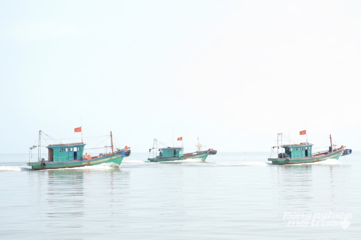 Hàng chục tàu cá '3 không' tập trung khai thác hải sản trái phép tại vùng cấm, làm náo loạn vùng biển thuộc xã Kiên Lương. Ảnh: Trung Chánh. Hàng chục tàu cá '3 không' tập trung khai thác hải sản trái phép tại vùng cấm, làm náo loạn vùng biển thuộc xã Kiên Lương. Ảnh: Trung Chánh.