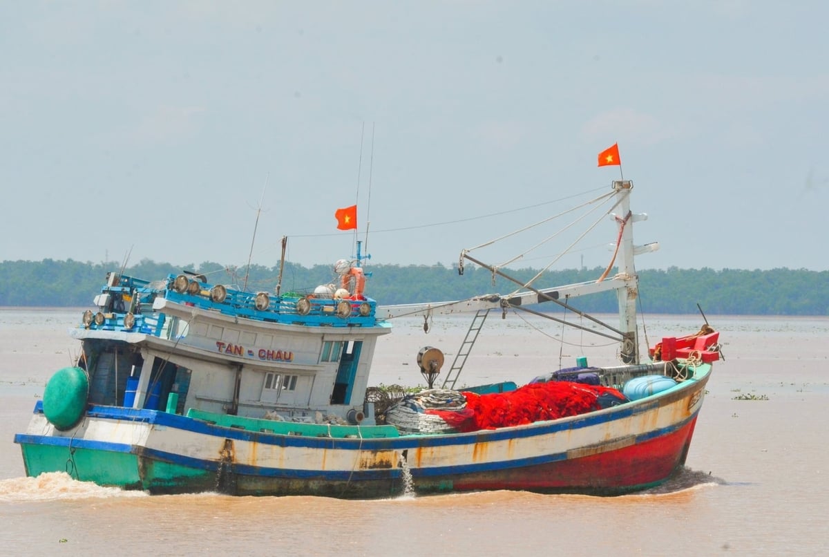 Từ đầu năm 2026 đến nay, Vĩnh Long ghi nhận 14 tàu mất kết nối, song tất cả đều được xác minh đúng hành trình, không có trường hợp khai thác trái phép. Ảnh: Minh Đãm.