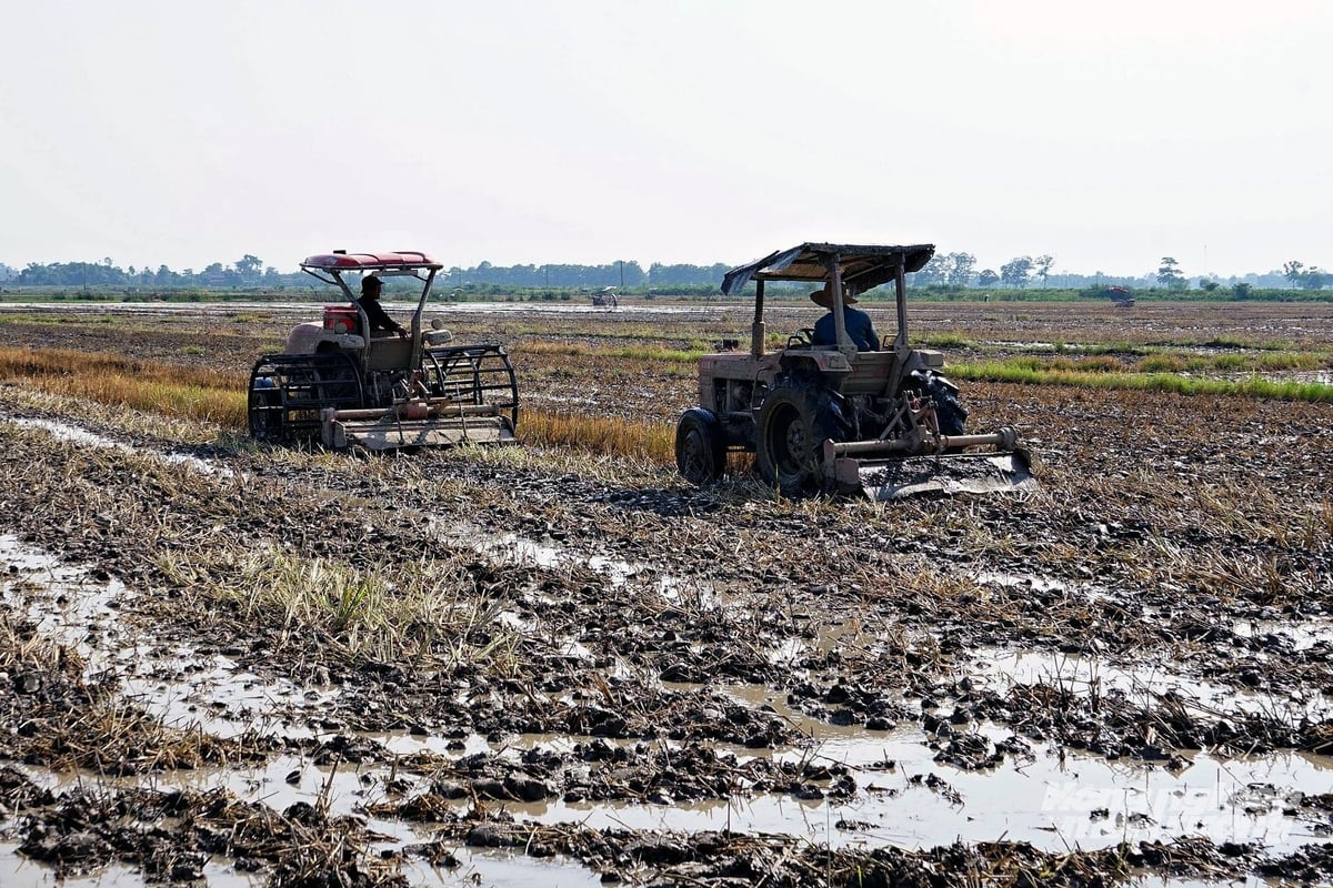 Nông dân Quảng Trị đã hoàn thành làm đất khoảng 90% diện tích đất trồng lúa vụ đông xuân. Ảnh: Võ Dũng. Nông dân Quảng Trị đã hoàn thành làm đất khoảng 90% diện tích đất trồng lúa vụ đông xuân. Ảnh: Võ Dũng.