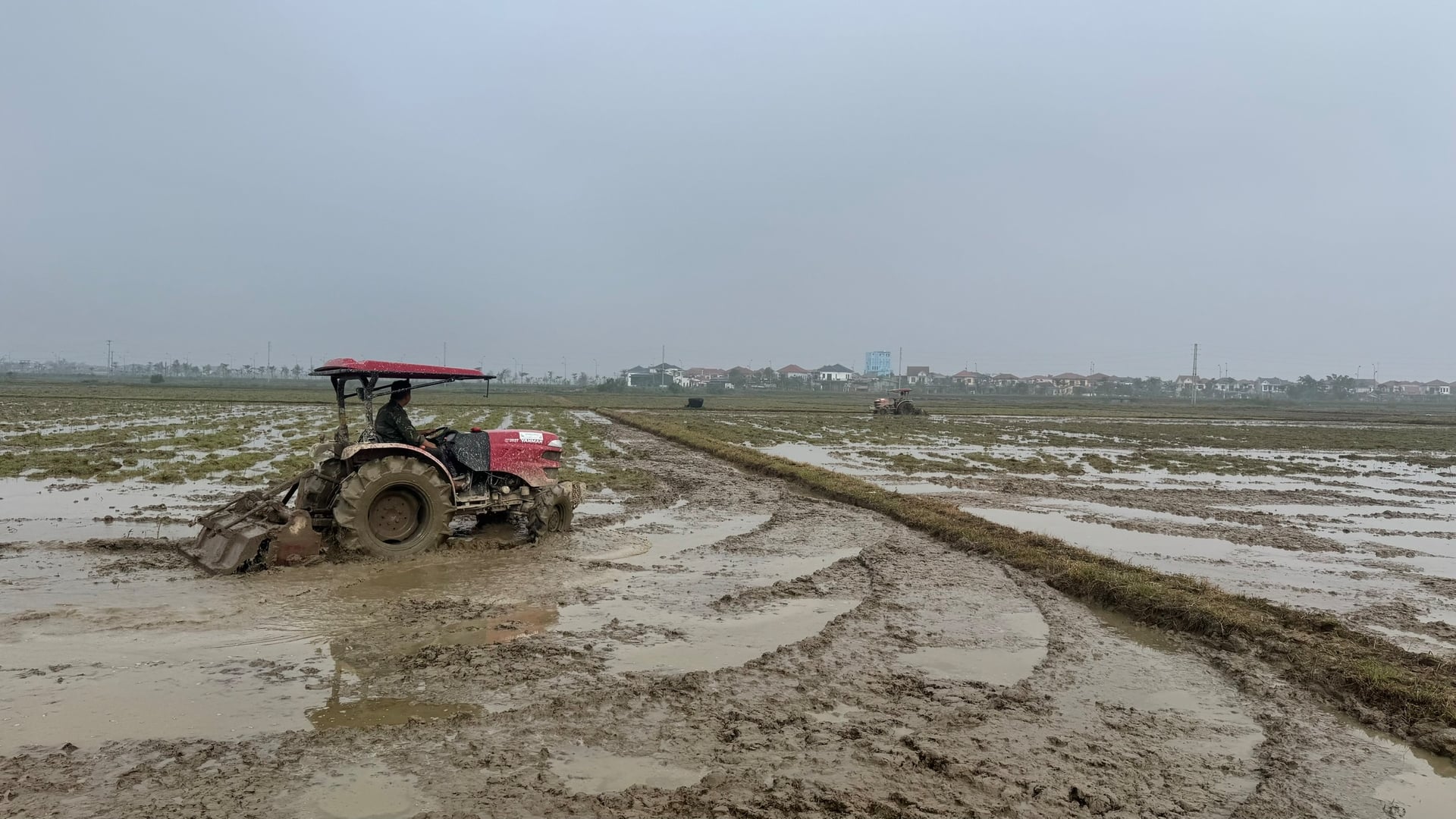 Mô hình canh tác lúa giảm phát thải vụ xuân 2026 được triển khai trên hơn 150ha tại nhiều địa phương ở Hà Tĩnh. Ảnh: Ánh Nguyệt.