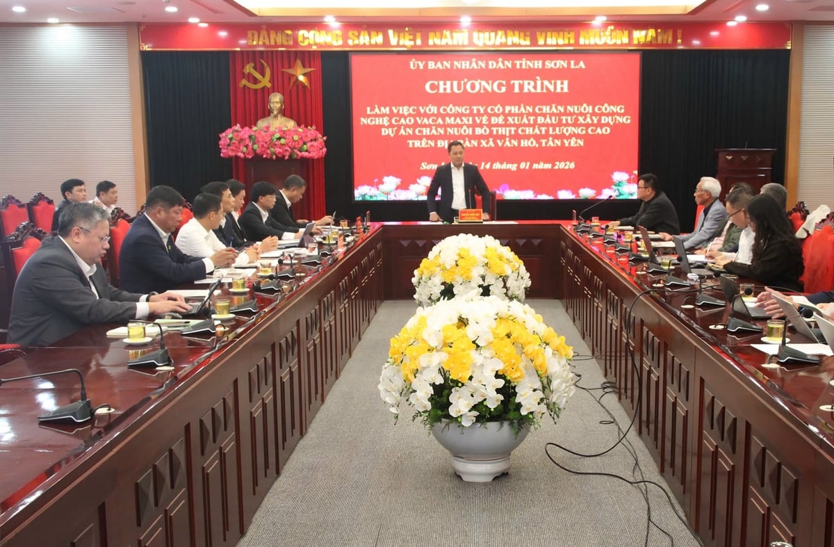 Tỉnh Sơn La làm việc với nhà đầu tư về đề xuất xây dựng dự án chăn nuôi bò thịt chất lượng cao tại 2 xã Vân Hồ và Tân Yên. Ảnh: Nguyễn Nga.