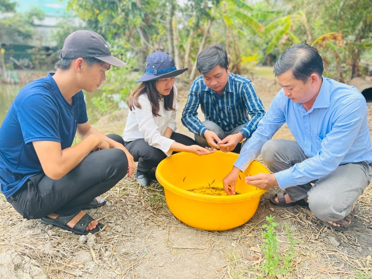 Sở Nông nghiệp và Môi trường Cà Mau yêu cầu tăng cường triển khai đồng bộ các nhiệm vụ quản lý và nâng cao chất lượng giống thủy sản. Ảnh: Trọng Linh.