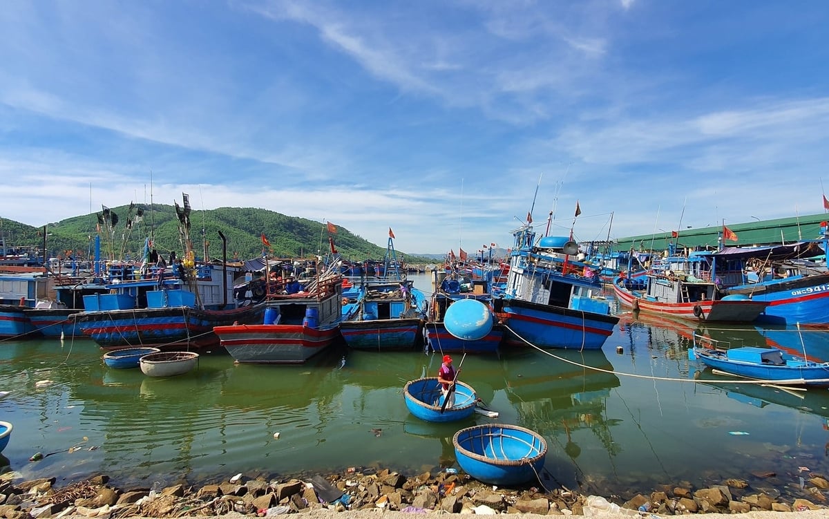 Tỉnh Quảng Ngãi có đội tàu khai thác lớn với hơn 4.800 tàu cá đã được đăng ký. Ảnh: L.K.