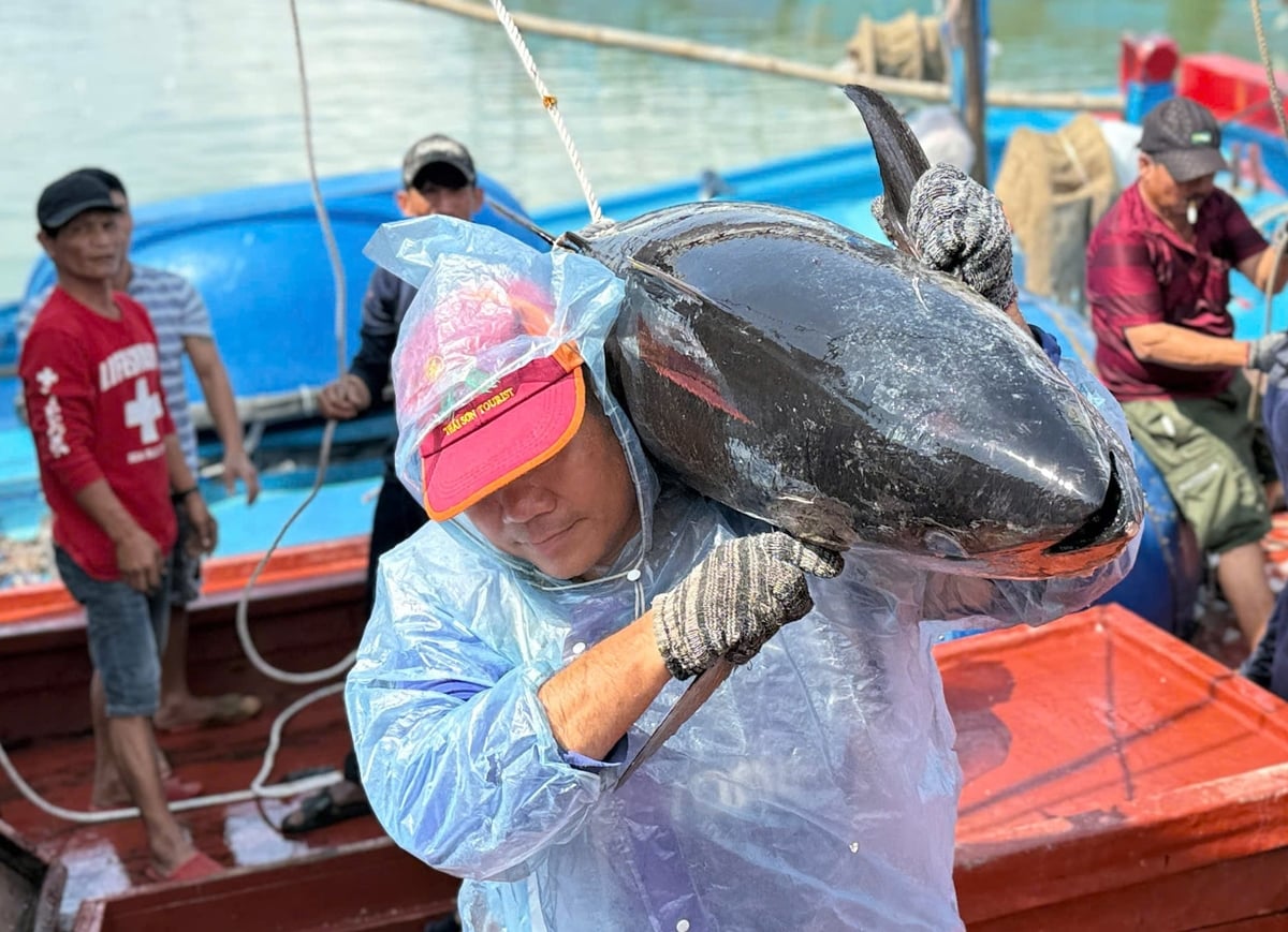 Ngư dân Đắk Lắk phấn khởi vì chuyến biển cuối năm cập bến trúng cá ngừ đại dương. Ảnh: A.Quân.
