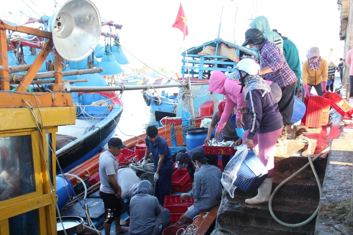 Ngoài hỗ trợ ngư dân chuyển đổi nghề, tỉnh Quảng Ngãi cũng khuyến khích các chủ tàu ứng dụng khoa học, công nghệ vào khai thác để nâng cao hiệu quả. Ảnh: L.K.