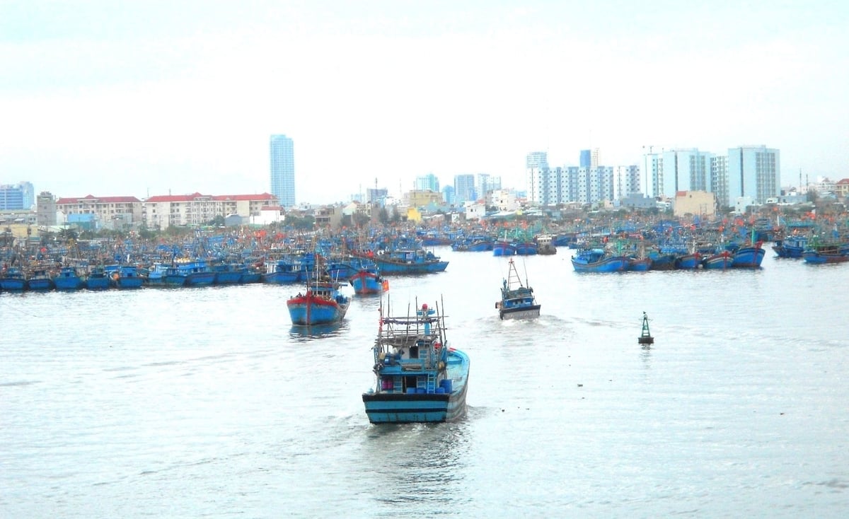 Đà Nẵng đang tiến tới dán mã QR lên toàn bộ đội tàu. Ảnh: L.A.