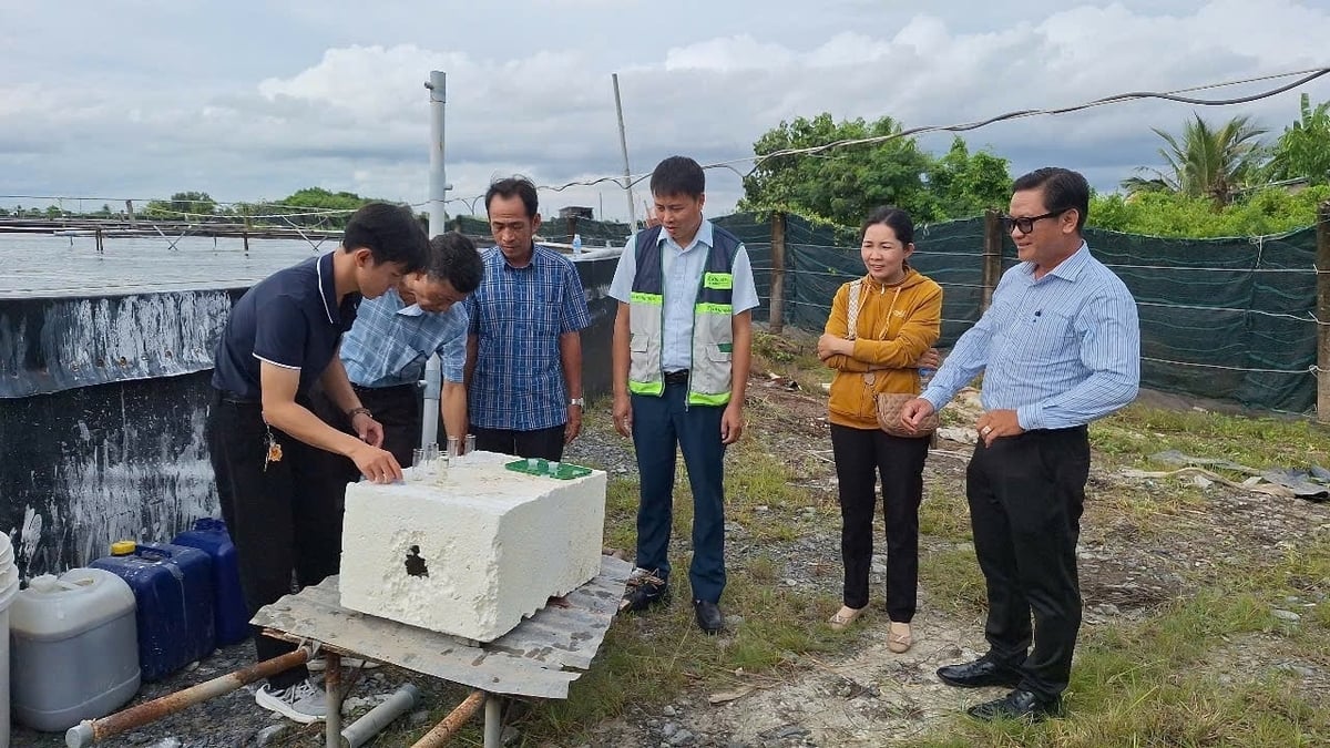 Sở Nông nghiệp và Môi trường Cà Mau vừa trình IBND tỉnh này xem xét, phê duyệt Kế hoạch công tác khuyến nông năm 2026. Ảnh: Trọng Linh.