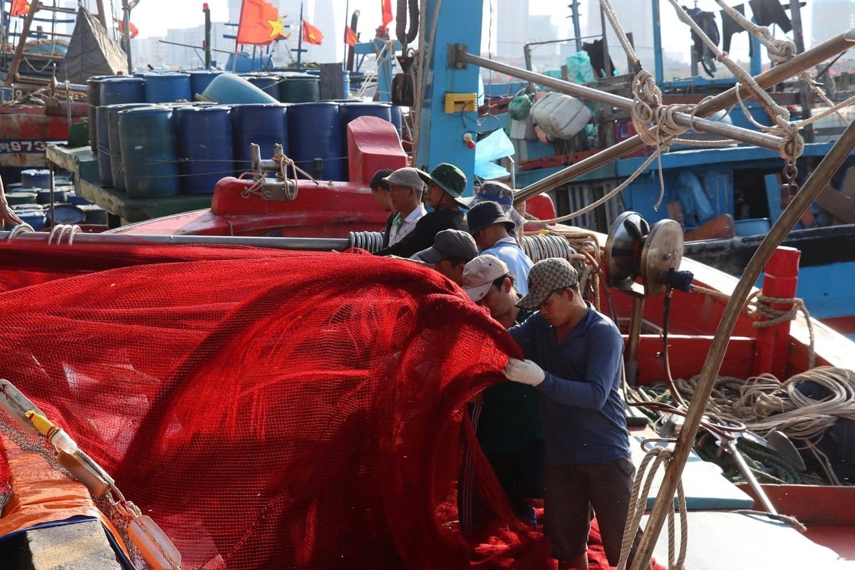 Đà Nẵng dành nguồn tiền lớn để hỗ trợ ngư dân hiện đại hóa tàu cá, đáp ứng quy định IUU. Ảnh: L.A.