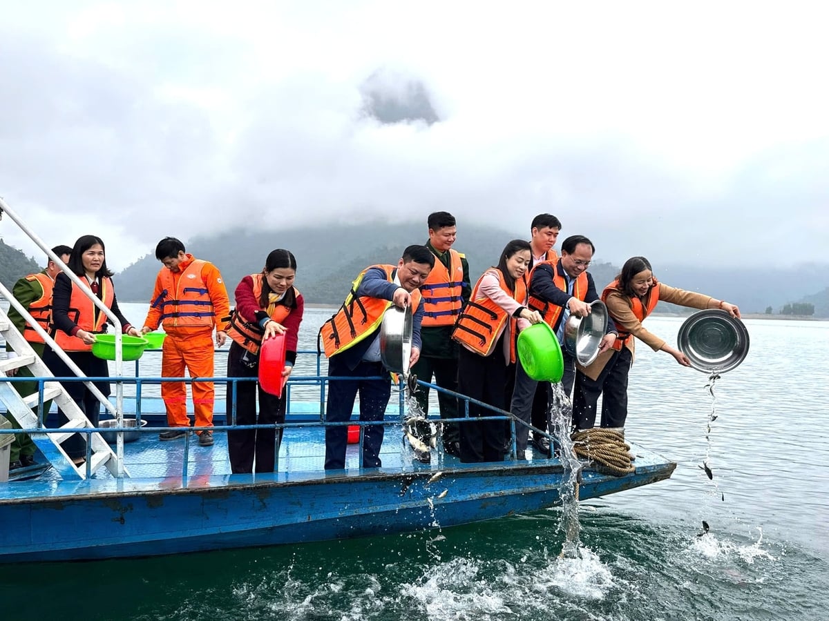 Việc thả tái tạo cá giống là hành động thiết thực nhằm bảo vệ và phát triển nguồn lợi thủy sản của xã Nà Hang. Ảnh: Văn Thông.