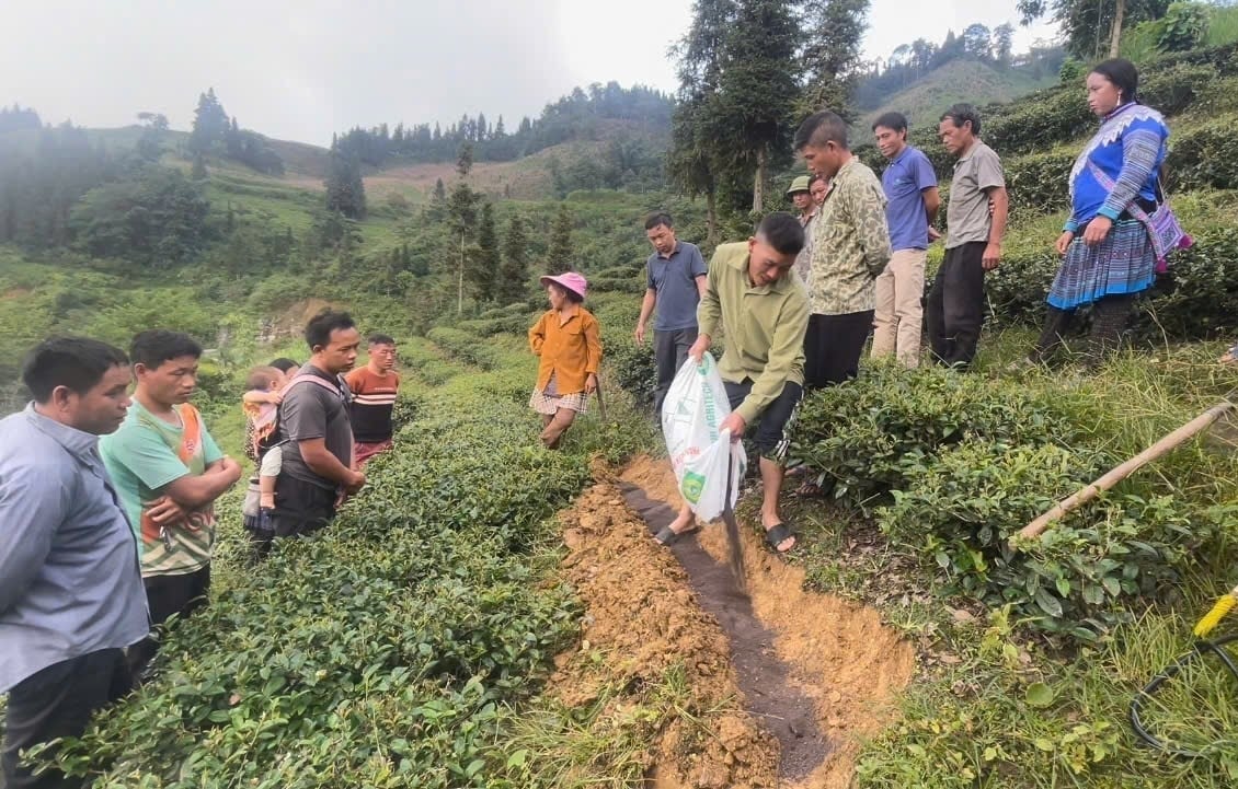 Nông dân xã Cao Sơn được cán bộ khuyến nông hướng dẫn bón phân hữu cơ đúng cách cho cây chè. Ảnh: Lưu Hòa. Nông dân xã Cao Sơn được cán bộ khuyến nông hướng dẫn bón phân hữu cơ đúng cách cho cây chè. Ảnh: Lưu Hòa.