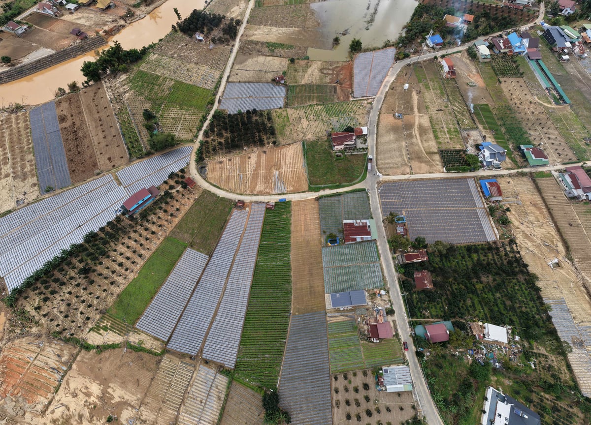 Những khu vực giáp sông Đa Nhim từng bị nước lũ vùi dập đang dần hồi sinh với những mảng màu xanh của nhiều loại rau, hoa. Ảnh: Phạm Hoài. Những khu vực giáp sông Đa Nhim từng bị nước lũ vùi dập đang dần hồi sinh với những mảng màu xanh của nhiều loại rau, hoa. Ảnh: Phạm Hoài.