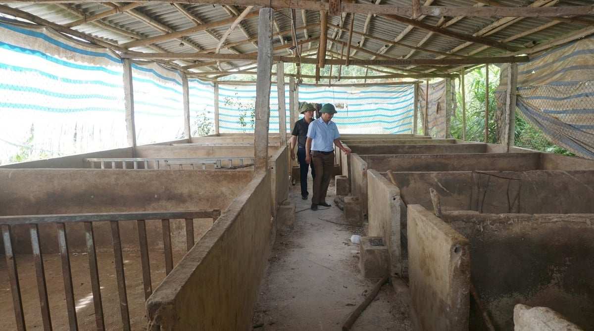 Cán bộ chuyên môn kiểm tra điều kiện chuồng trại tại cơ sở chăn nuôi, hướng dẫn người dân thực hiện các biện pháp an toàn sinh học trong chăn nuôi. Ảnh: CTV. 