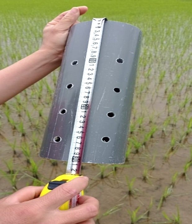 Cán bộ chuyên môn tiến hành đặt ống đo mực nước tại các điểm ruộng tham gia Dự án. Ảnh: An Nhiên. Cán bộ chuyên môn tiến hành đặt ống đo mực nước tại các điểm ruộng tham gia Dự án. Ảnh: An Nhiên.