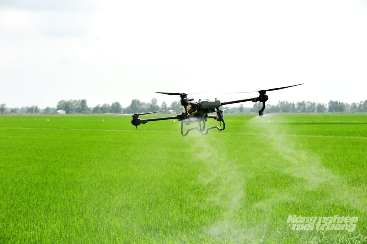Ứng dụng thiết bị bay không người lái phun thuốc BVTV tại An Giang. Ảnh: Lê Hoàng Vũ.
