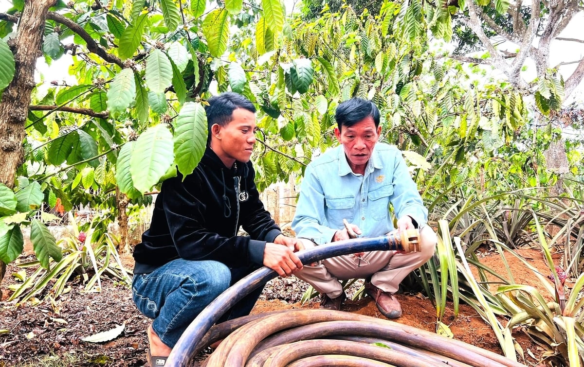 Anh Rơ Mah Liêu (trái) ở làng Hố Lang, xã Bờ Ngoong kiểm tra đường ống, chuẩn bị cho đợt tưới cà phê lần thứ 3. Ảnh: Tuấn Anh. 