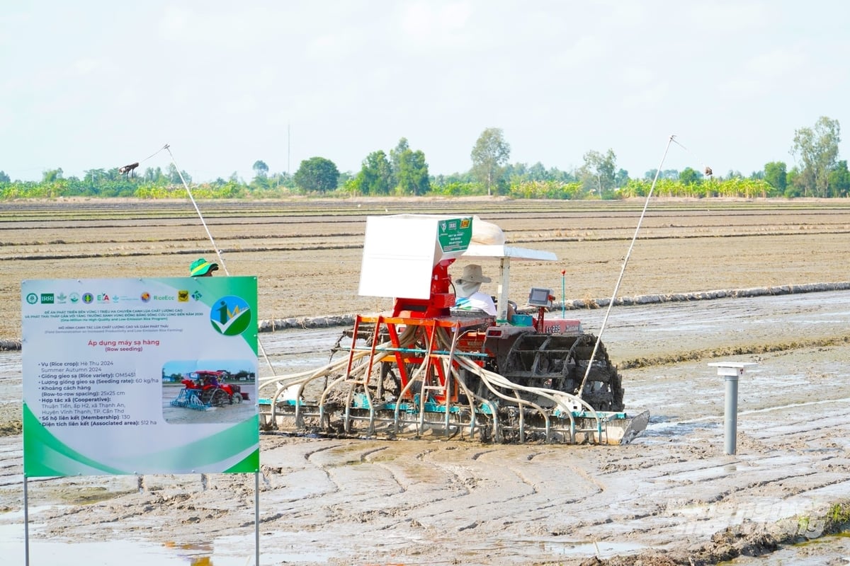 Trong năm 2026, TP Cần Thơ dự kiến kinh phí hơn 7,4 tỷ đồng tổ chức các lớp bồi dưỡng, tập huấn TOT; kỹ thuật sản xuất cho THT/HTX trong vùng Đề án 1 triệu ha. Ảnh: Kim Anh.