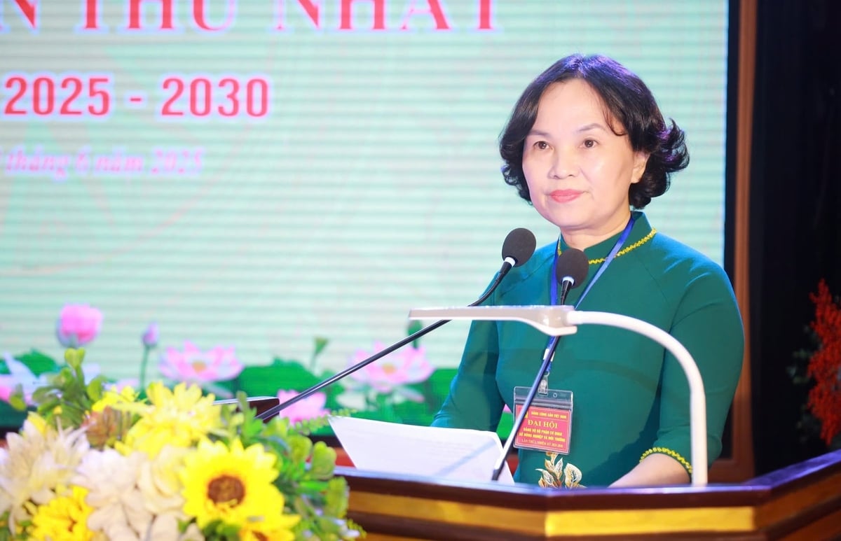 Bà Võ Thị Nhung, Phó Giám đốc Sở Nông nghiệp và Môi trường Nghệ An khẳng định tầm quan trọng của Dự án. Ảnh: Việt Khánh. Bà Võ Thị Nhung, Phó Giám đốc Sở Nông nghiệp và Môi trường Nghệ An khẳng định tầm quan trọng của Dự án. Ảnh: Việt Khánh.