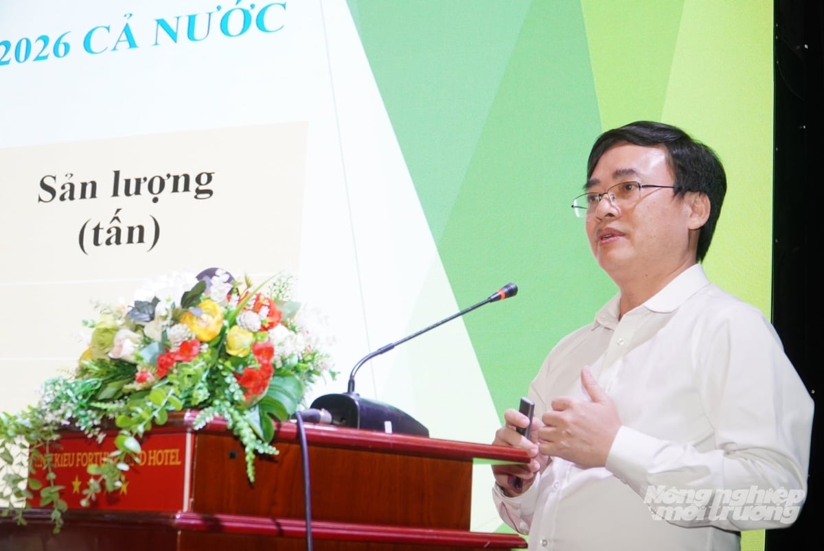 Ông Nguyễn Quốc Mạnh - Phó Cục trưởng Cục Trồng trọt và Bảo vệ thực vật kiến nghị, cần chuyển tư duy 'xuất khẩu theo sản lượng' sang 'xuất khẩu theo giá trị và chất lượng' gắn với liên kết và điều hành linh hoạt để ngành lúa gạo phát triển bền vững hơn. Ảnh: Kim Anh.