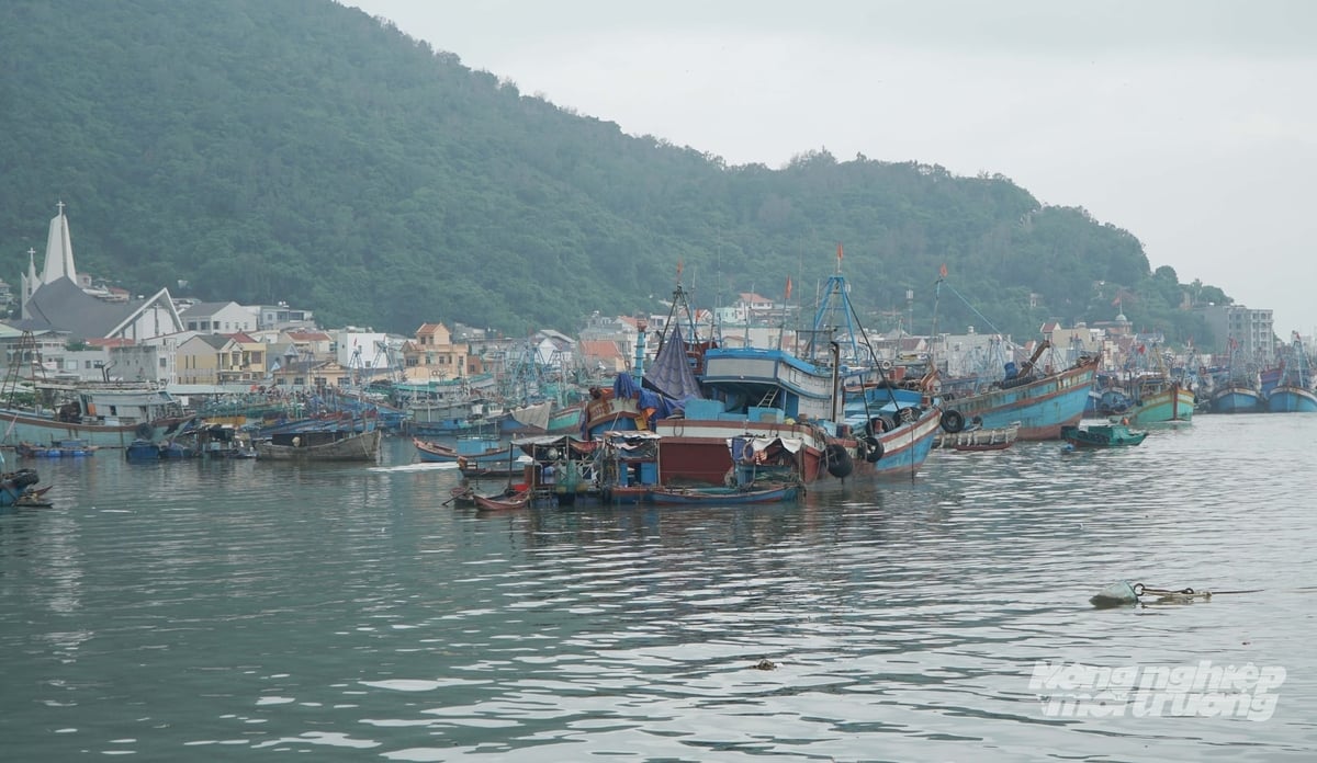 Các tàu cá liên kết theo tổ đội trên biển để chia sẻ thông tin ngư trường, hạn chế chạy tàu tìm cá và giảm lượng dầu tiêu thụ. Ảnh: Lê Bình.