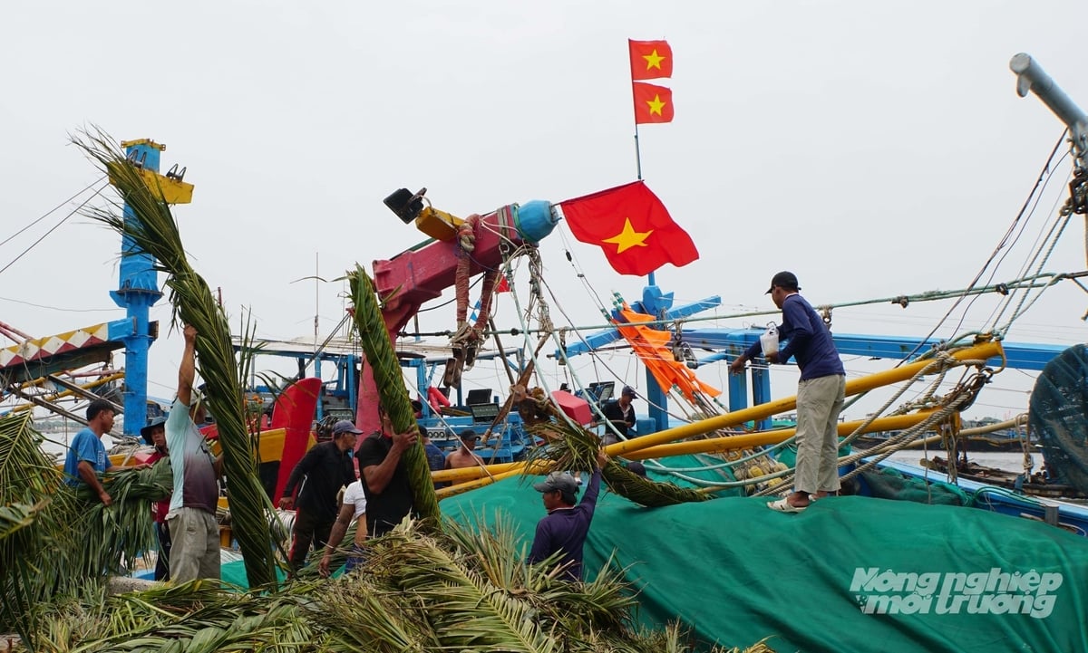 Ngư dân tại các cảng cá TP.HCM điều chỉnh kế hoạch ra khơi, rút ngắn chuyến biển để giảm chi phí nhiên liệu. Ảnh: Lê Bình.