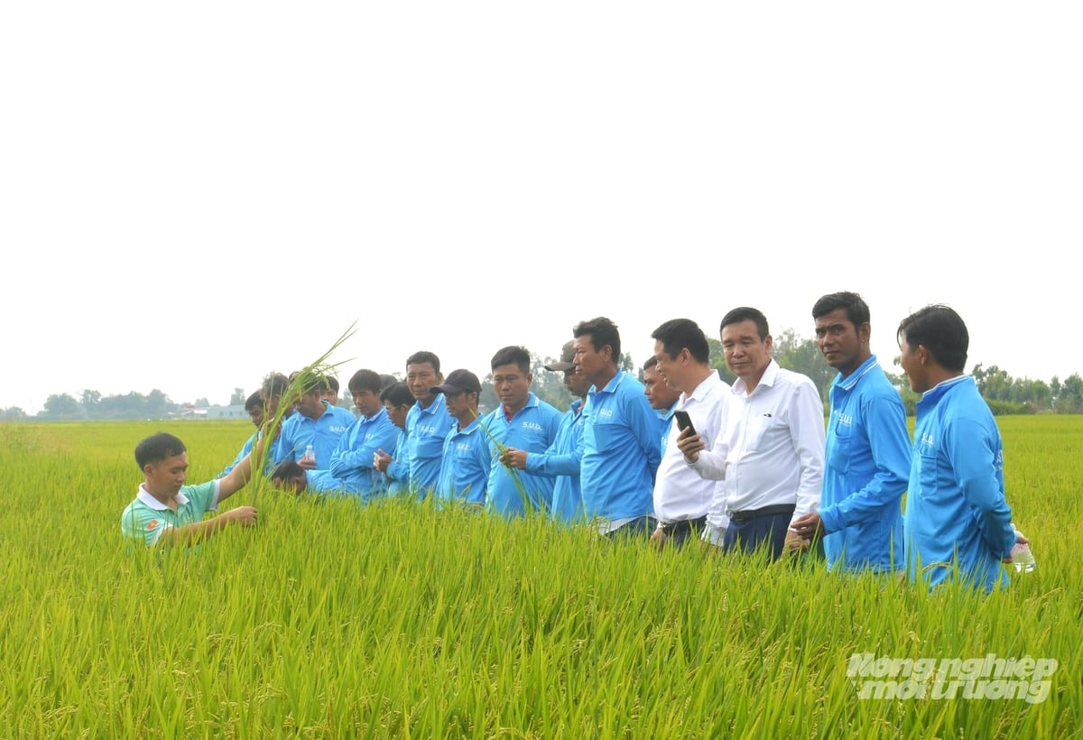 Nông dân tham quan và đánh giá hiệu quả mô hình tại Hợp tác xã Nông nghiệp Hiệp Lợi. Ảnh: Trung Chánh.
