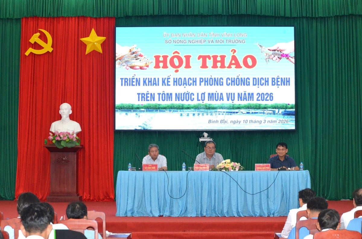 Tỉnh Vĩnh Long tổ chức hội thảo triển khai phòng chống dịch bệnh trên tôm nước lợ năm 2026. Ảnh: Minh Đảm. Tỉnh Vĩnh Long tổ chức hội thảo triển khai phòng chống dịch bệnh trên tôm nước lợ năm 2026. Ảnh: Minh Đảm.