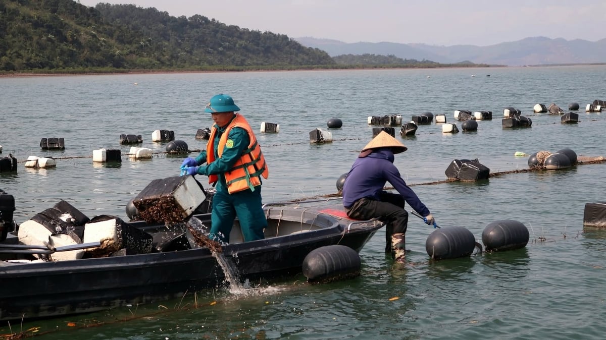 Lực lượng chức năng xã Đầm Hà cùng nhân dân tháo dỡ phao xốp để 'giải cứu' môi trường biển. Ảnh: Cường Vũ. 