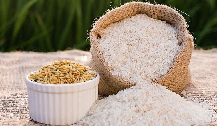 Giá lúa gạo hôm nay 25/3/2026: Giao dịch trầm lắng
