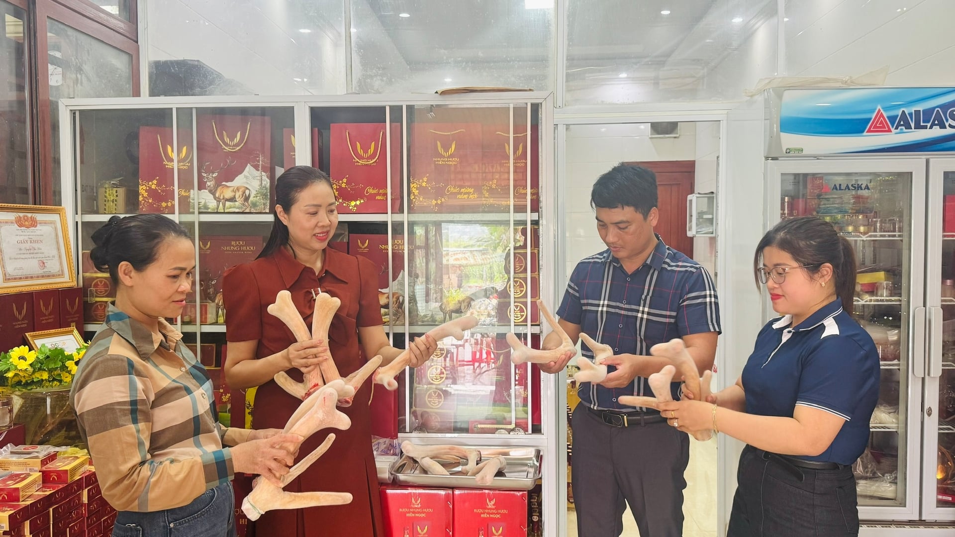 Giá nhung hươu tại Hà Tĩnh hiện dao động khoảng 12 - 13 triệu đồng/kg, giúp người nuôi đạt lợi nhuận khá. Ảnh: Ánh Nguyệt.