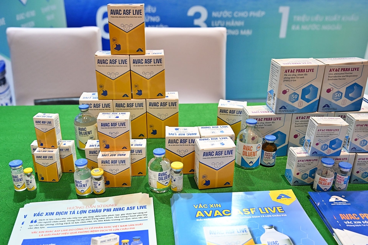 Vaccine AVAC ASF LIVE phòng bệnh Dịch tả lợn châu Phi rất được quan tâm. Ảnh: Bảo Thắng.