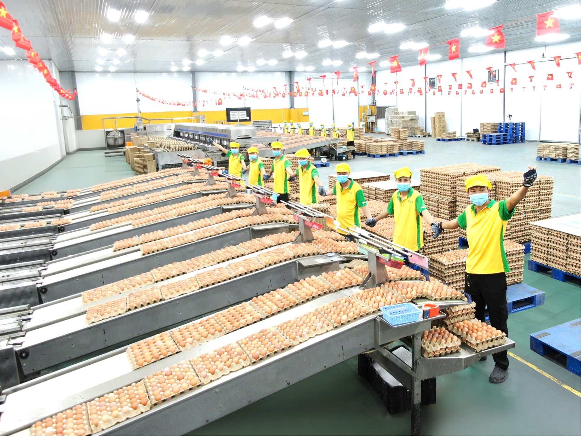 Với mô hình chăn nuôi hiện đại, TAFA Group đang dần định hình vị thế ngành trứng Việt Nam trong chuỗi giá trị toàn cầu.