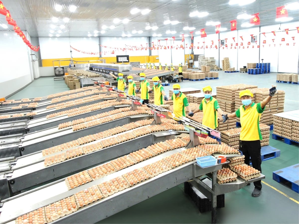TAFA ưu tiên đầu tư vào công nghệ, nguồn nhân lực và tối ưu toàn bộ hệ sinh thái sản xuất, nhằm đảm bảo sản phẩm an toàn, phù hợp nhu cầu thiết yếu, giá thành hợp lý và dễ tiếp cận. Ảnh: TAFA. 