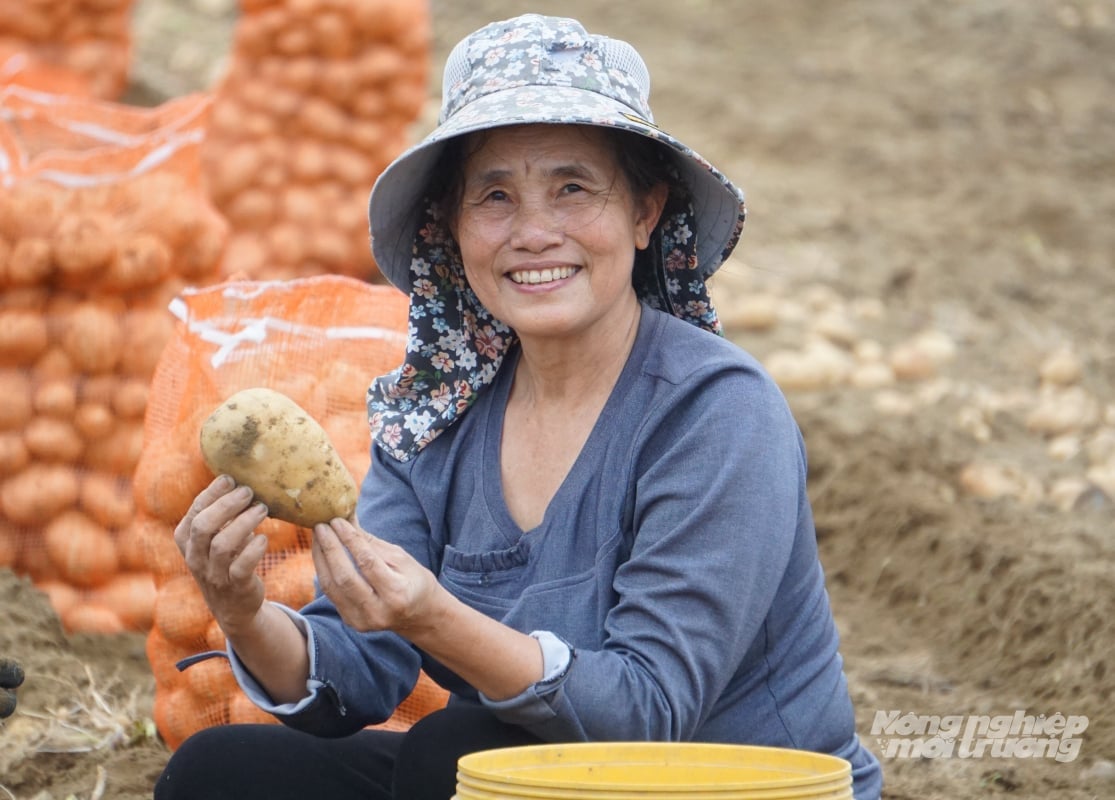 Nông dân có thu nhập cao nhờ trồng khoai tây vụ đông. Ảnh: Quốc Toản.