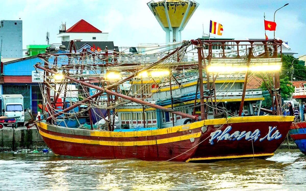 Tỉnh Lâm Đồng đang triển thực hiện 'số hóa' toàn diện hoạt động khai thác. Ảnh: KS.