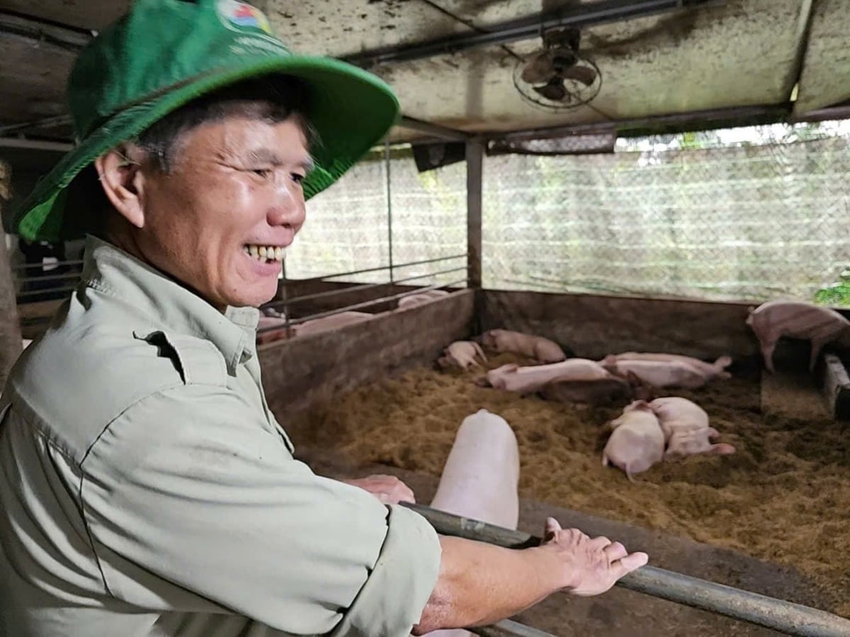 Ông Nguyễn Văn Lịch, hộ chăn nuôi ở Huế. Ảnh: Bảo Khang. 