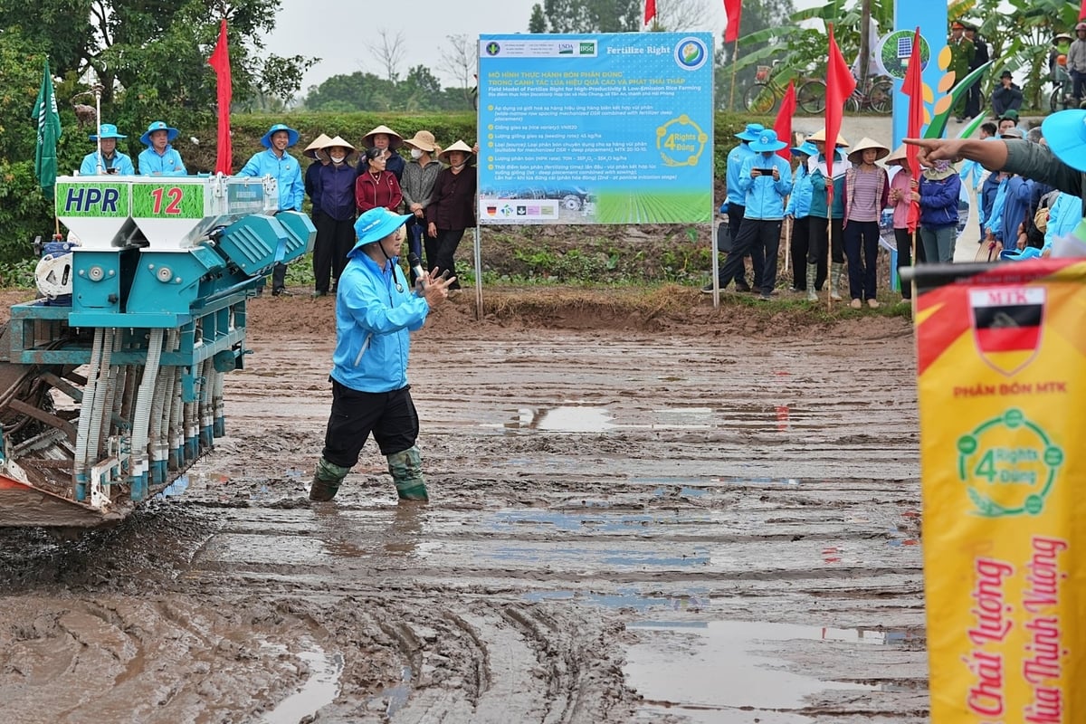 Chuyên gia IRRI trực tiếp xuống ruộng giải đáp thắc mắc của người dân. Ảnh: Bảo Thắng.