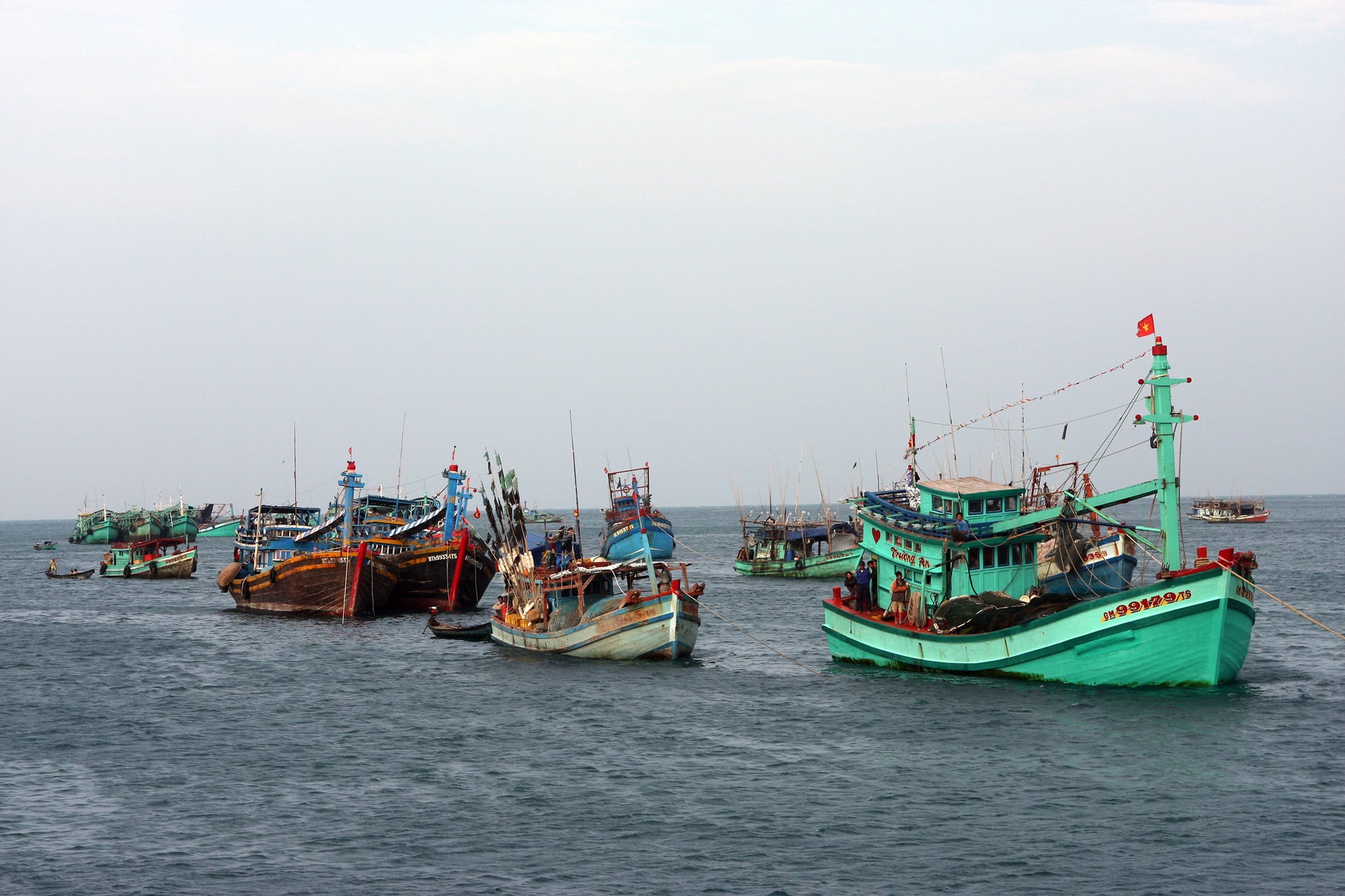 Việt Nam đang triển khai nhiều nhiệm vụ để phù hợp với quy định của MMPA. Ảnh: Hồng Thắm. Việt Nam đang triển khai nhiều nhiệm vụ để phù hợp với quy định của MMPA. Ảnh: Hồng Thắm.