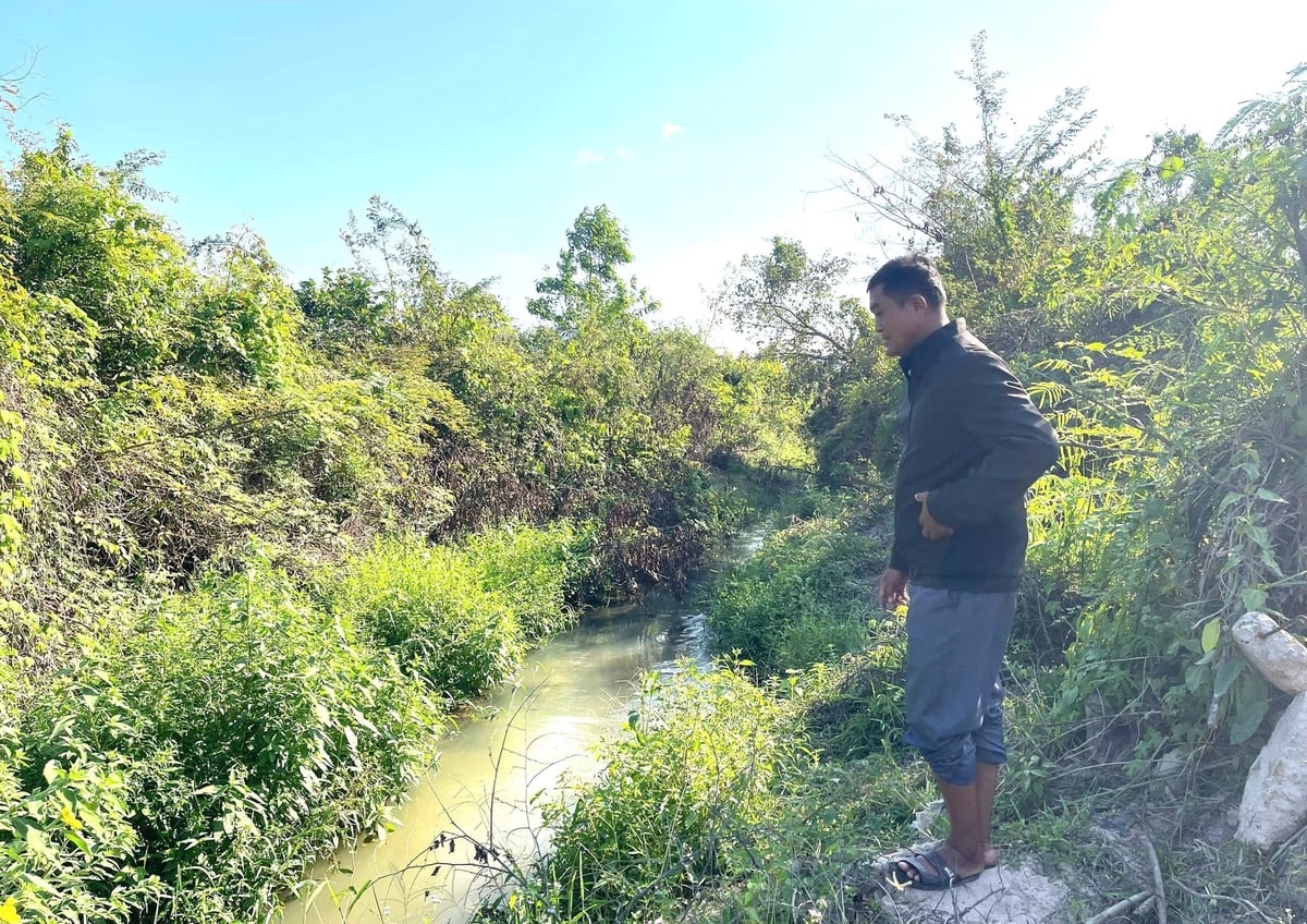 Một đoạn kênh dẫn nước bị cây cối và bùn đất cản trở dòng chảy. Ảnh: Đăng Lâm. Một đoạn kênh dẫn nước bị cây cối và bùn đất cản trở dòng chảy. Ảnh: Đăng Lâm.