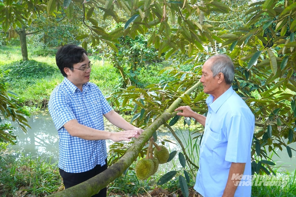 Ông Nguyễn Quốc Mạnh - Phó Cục trưởng Cục Trồng trọt và Bảo vệ thực vật thăm vùng trồng sầu riêng xã Đại Hải (TP Cần Thơ). Ảnh: Kim Anh.