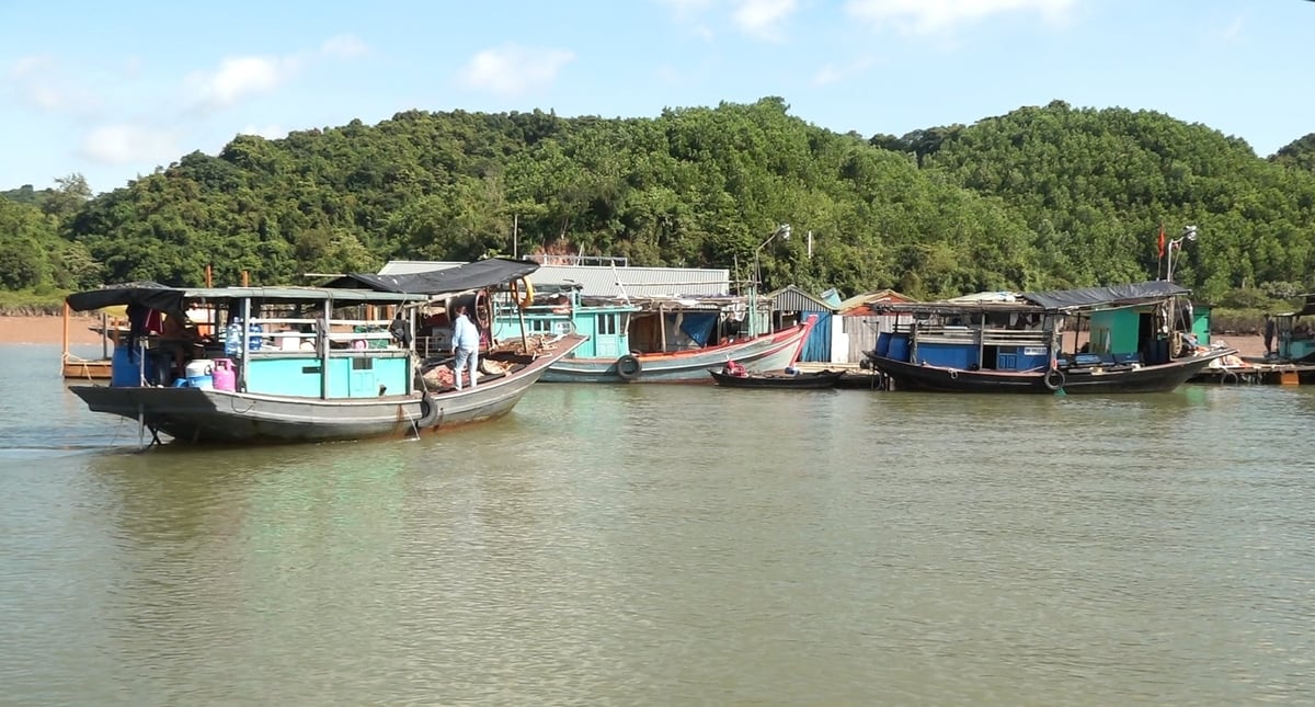 Quảng Ninh có 4.114 tàu cá có chiều dài từ 6m trở lên đã được đăng ký. Ảnh: Nguyễn Thành.