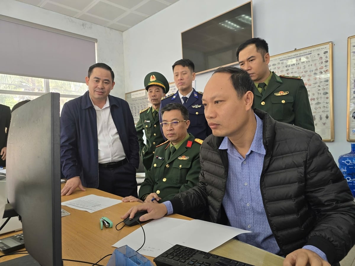 Lực lượng liên ngành kiểm tra cơ sở dữ liệu tàu cá tại cảng Cái Rồng. Ảnh: Nguyễn Thành.