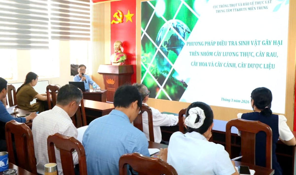Giảng viên Trung tâm Trồng trọt và Bảo vệ thực vật miền Trung trình bày phương pháp điều tra sinh vật gây hại trên cây trồng. Ảnh: KS.