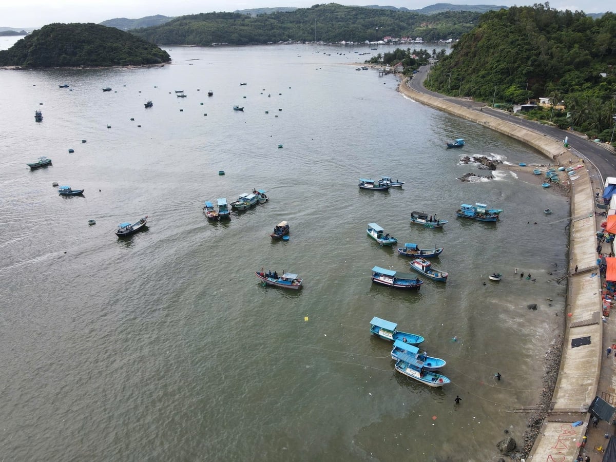 Hiện nay tỉnh Đắk Lắk có 2.575 tàu cá đăng ký trên hệ thống cơ sở dữ liệu nghề cá quốc gia. Ảnh: Trần Thọ.