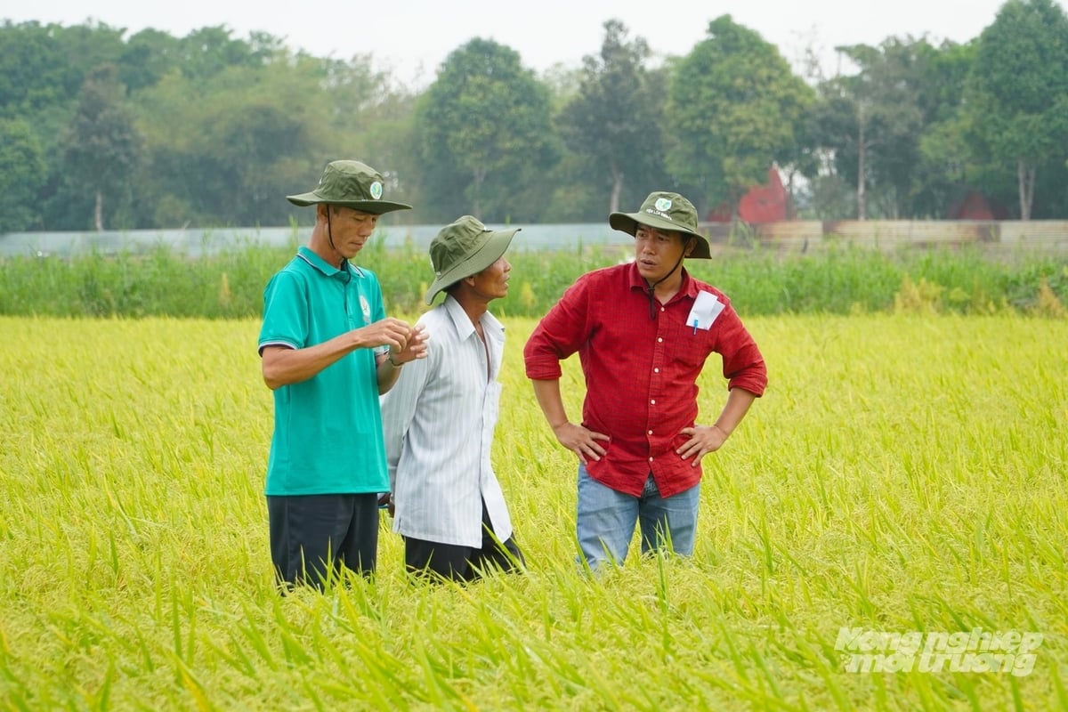 Nông dân tham gia đánh giá quy trình canh tác ứng dụng drone tại Viện Lúa ĐBSCL. Ảnh: Kim Anh.