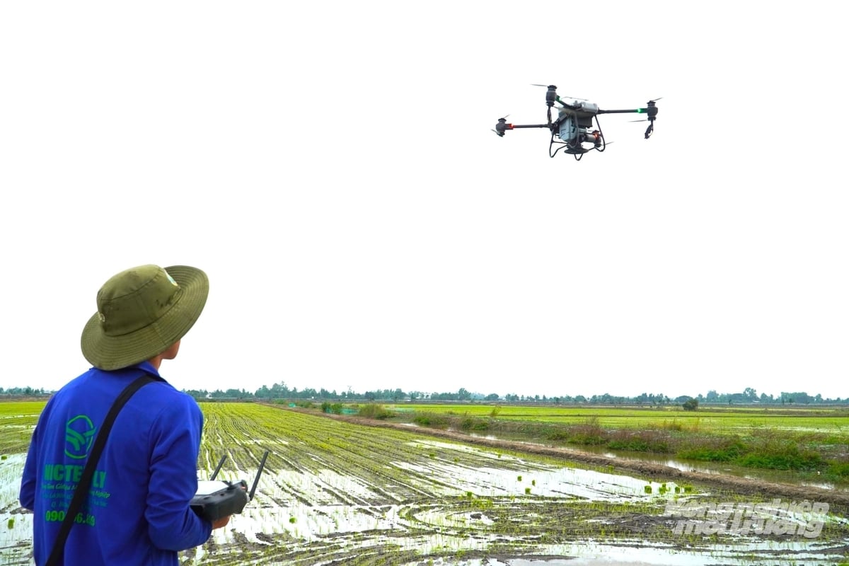 Ứng dụng drone trong canh tác lúa. Ảnh: Kim Anh.